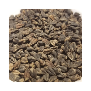 Extracto de Semilla de Trigo Sarraceno Tártaro, Seco, en Empaque a Granel, Certificado GMO - Product Image 4