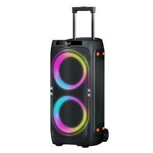 Enceinte de karaoké professionnelle 2x8 pouces 150W avec amplificateur, chariot de fête portable à grandes roues, enceinte DJ Bluetooth avec micro sans fil - Product Image 4