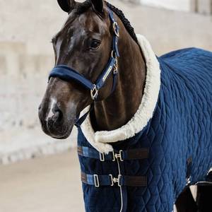 <b>Blue</b> 420D Horse Rug Small Size Lightweight Indoor Equestrian Equipment Standard Neck Winter Warm Stable Riding Blanket - Product Image 3