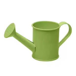 Nouveau Design Bidon D'eau Galvanisé Fleur Plantes Arrosoir Pot Haute Qualité Bidon D'eau En Étain Pour Les Fournisseurs En Gros - Product Image 5