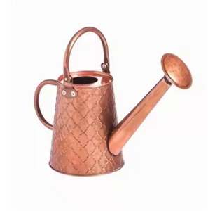 Regadera de hierro a un precio razonable Diseño fantástico Regadera Tamaño y forma personalizados Recubrimiento en Polvo puro - Product Image 3