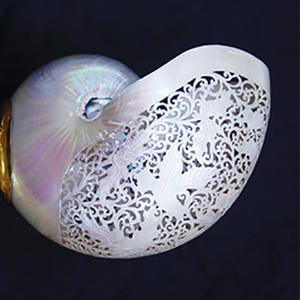 Para Nautilus estilo tallado arte SEASHELL JOYERÍA Madre de perla Motivo de concha marina Estilo animal crudo - Product Image 4