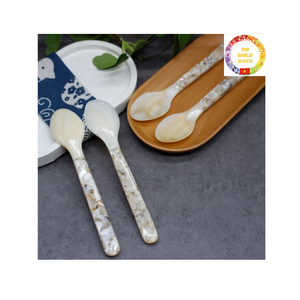 Cuillère en nacre écologique pour le caviar et la cuisine raffinée Coquillage naturel poli - Product Image 1