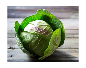 Repollo Verde Fresco Orgánico Natural de Alta Calidad a Precio Competitivo, en Forma de Bola, de Última Cosecha, en Venta - Product Image 2