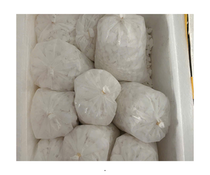 แป้งเท้ายายม่อมธรรมชาติระดับพรีเมี่ยมแป้งแฮนด์เมด-Kudzu เกรดดีที่สุดของญี่ปุ่นปราศจากกลูเตน - Product Image 1