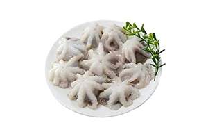 Vente en gros de poulpes bébés entiers frais congelés d'origine européenne, marque OEM, durée de conservation de 24 mois - Product Image 3