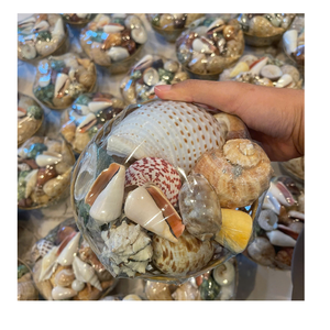 Cuenco Decorativo Premium con Diseño de Concha Marina, Hecho en Vietnam con Conchas Pulimentadas, para Decoración de Mesa - Product Image 2