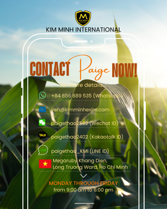 Silage de maïs pour bovins laitiers et bovins à viande - Product Image 6