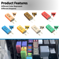 Fusible de Cuchilla Mini PTT para Automoción, Interruptor de Circuito T3 5A-30A, Reinicio Manual, Plástico, Capacidad de Ruptura de 10kA para Coche, Camión, Marino