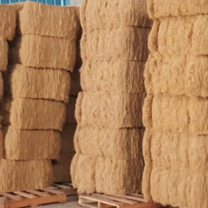 Fibra de Palma Cruda Marrón en Venta - Product Image 5