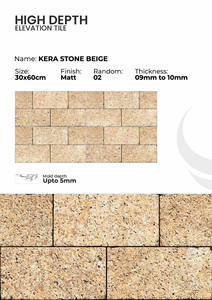 Azulejos de Porcelana para Pared Exterior de 300x600 mm, Estilo Arquitectónico - Product Image 2