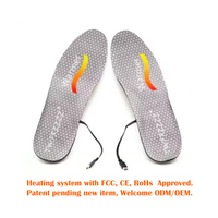 Semelles chauffantes pour Massage électrique, chargement USB, pour les pieds humains, grotte Yongquan, maintien de la santé