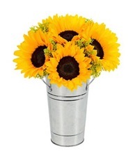 Fabricant d'arrosoir en métal fer galvanisé Conception personnalisée Arrosoir pour plantes vertes Fournisseur de gros - Product Image 6