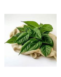 ใบปอกระเจาสีเขียวแช่แข็งผักจากพืชคุณภาพพรีเมี่ยมติดฉลากสะอาดเพิ่มพลังภูมิคุ้มกัน - Product Image 1