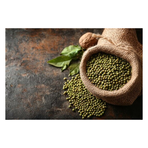 Lentilles vertes séchées de haute qualité Lentilles vertes pures naturelles dans un emballage en vrac Produit à prix compétitif - Product Image 3