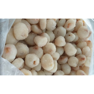 Frozen Lychee Bulk Supply from Vietnam Premium <b>Sweet</b> Tropical Fruit for Export Wholesale <b>Packaging</b> at Cheap Price Rate - Product Image 3