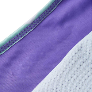 2025 trajes de baño de moda para mujer ajustados sin espalda 100% poliéster Spandex fabricado en fábrica traje de baño para la venta en línea - Product Image 5