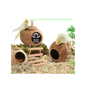 Nid d'oiseau en coquille de noix de coco de haute qualité pour décor de jardin disponible maintenant - Product Image 1