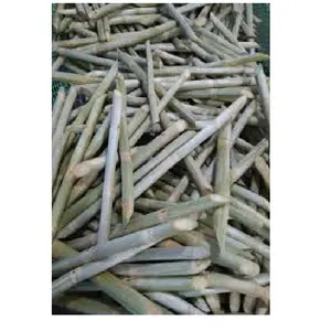 Wholesale Organic Sugarcane Products New Crop Frozen on BQF Process 24-Month Shelf Life Common Cultivation Type