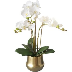 Ensemble de 2 tailles différentes pour l'extérieur en aluminium chromé durable et écologique pots de fleurs suspendus style moderne et minimaliste - Product Image 2