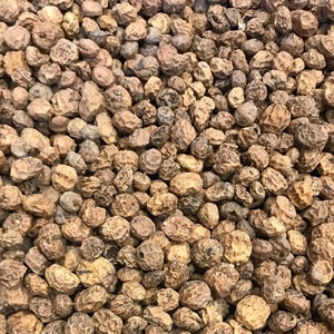 Nueces de Tigre Naturales Blanqueadas Frescas de Alta Calidad de Austria - Product Image 1