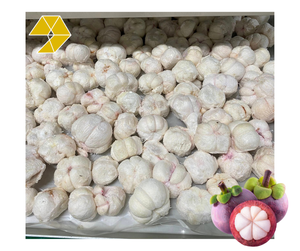 Chips de mangoustan lyophilisées, sucrées et croquantes, pour collation ou dessert, étiquette personnalisée, 50g 100g, sachet refermable, mangoustan sec du Vietnam - Product Image 1