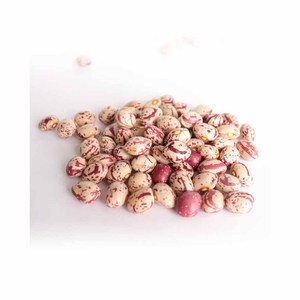 เมล็ดถั่วแดงออแกนิค2023เมล็ดถั่วไตสดแห้งสำหรับปลูกอาหาร - Product Image 2