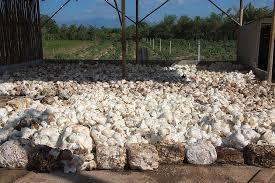 High Quality White Cup Lump Rubber Molding Grade - Product Image 5