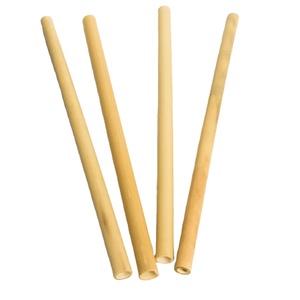 ENSEMBLE DE PAILLES À BOIRE EN BAMBOU ÉCOLOGIQUE LOGO PERSONNALISÉ AVEC LA MEILLEURE QUALITÉ et LE MEILLEUR PRIX pour LE GROS - Product Image 1