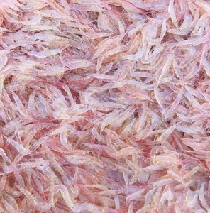 Crevettes bébé surgelées de qualité supérieure, emballées sous vide, BQF, en provenance du Vietnam, prix de gros compétitifs, fruits de mer frais et neufs, exportation - Product Image 5