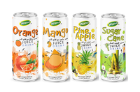 Jus de purée de pastèque sans sucre - Le plus délicieux de Vietnam, de haute qualité, 100% naturel