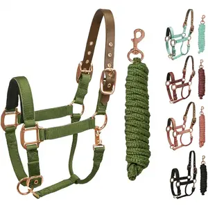 High Quality Horse Halters Premium Horse Halter Horse Braided <b>Rope</b> Halter Beaded Noseband <b>Lead</b> <b>Rope</b> Wholesale High Comfort Nylon - Product Image 1