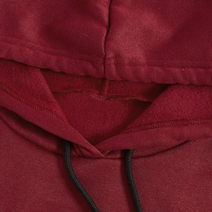 Pulls à capuche pour femmes d'hiver au style unique, qualité supérieure, polaire léger, manches longues, logo avant, streetwear, écologique - Product Image 3