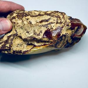 Pierre d'ambre brute, ambre naturel du bassin Baltique polonais, 248,6 grammes - Product Image 5