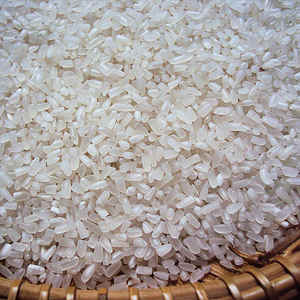 ข้าว 504 ข้าวเวียดนาม ข้าวเมล็ดยาว ข้าวขาว ข้าวแตก 5% สำหรับขายส่ง พร้อมจัดส่งและจัดการอย่างพิถีพิถัน - Product Image 3