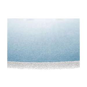 Discos de Lijado Festool STF D225 de 225 mm S/25 Granat, Suaves, con Respaldo de Espuma de 3,5 mm, 25 Piezas - Product Image 2