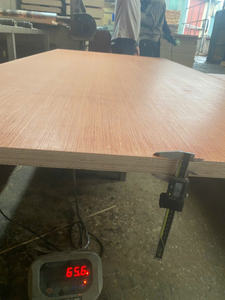 ไม้อัดปูพื้นภาชนะ T5เวียดนามมาตรฐานสากลสำหรับชิ้นส่วนภาชนะและอุปกรณ์เสริม - Product Image 3