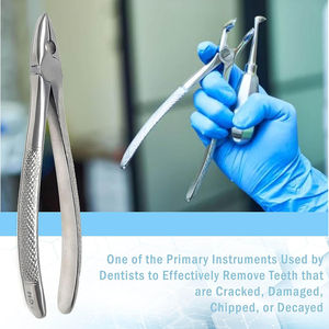 Forceps d'extraction dentaire manuel CE OEM universel pour extraction des racines dentaires supérieures et inférieures, instruments chirurgicaux dentaires, kit dentaire par SurgiRight - Product Image 2