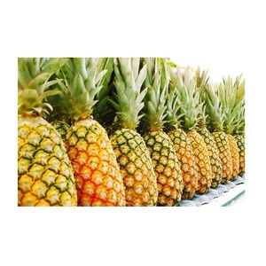 Ananas frais biologiques dorés, variété MD2/Queen, 15-25 cm, sucrés - Product Image 3
