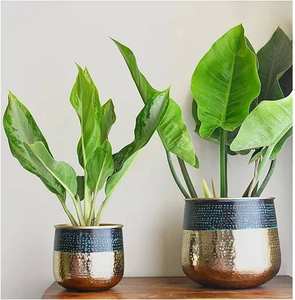 Vente en gros support de jardinière en métal en fer personnalisé pour la décoration de la maison et du jardin pots de fleurs et jardinières au design fantaisie fournisseur - Product Image 4