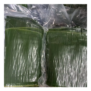 ใบกล้วยสดสำหรับห่อนึ่งและตกแต่งอาหารจากผู้ผลิตในเวียดนาม - Product Image 3