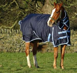 ม้าฤดูหนาวเรือท่า 200g และ 350g เติมพรม Turnout น้ําหนักเบาขนาดกลาง Combo - Product Image 3