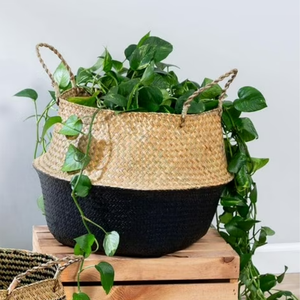 Cestas de Almacenamiento de Pasto Marino Ecológicas, Duraderas, Multifuncionales, Hechas a Mano, Color Personalizable, Diseño Personalizado, Uso en Jardín, Vietnam - Product Image 3