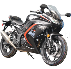 มอเตอร์ไซค์เกียร์ธรรมดา 6 สปีด รุ่นใหม่ล่าสุด พร้อมมอเตอร์ไร้แปรงถ่าน GTX 250 - Product Image 4