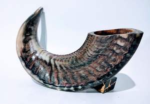 Cuerno de carnero natural hecho a medida adecuado para su uso como cuernos de soplado ideal para la reventa a proveedores de productos de cuerno - Product Image 3