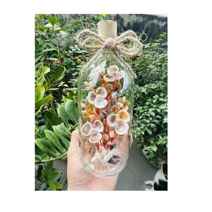 ขวดแก้วทรงเปลือกหอยขวดแก้วสำหรับชายหาดแบบใหม่ขวดแก้วเปลือกหอยที่ต้องการงานฝีมือจากเวียดนาม - Product Image 1