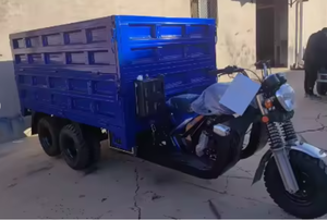 รถมอเตอร์ไซค์บรรทุกของแท้ 300 ซีซี 350 ซีซี 2 เพลา 9 ล้อ แบบมีหลังคาปิด สำหรับขนส่งสินค้า - Product Image 2