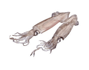 Calamar de alta calidad, tamaño S, calamar redondo entero congelado, gran oferta, calamar gigante congelado barato de alta calidad, precio al por mayor - Product Image 6