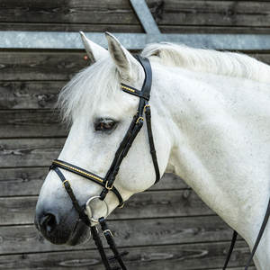 Bride en laiton Clincher bride en cuir avec rênes avec coutures contrastées. Détails de clincher sur la bande de front et la muserolle. Anatomique - Product Image 3