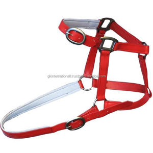 Matériau PVC de haute qualité Nylon Horse Halter disponible dans une large gamme de couleurs blanc rembourré rouge Nylon Horse racing licou - Product Image 2